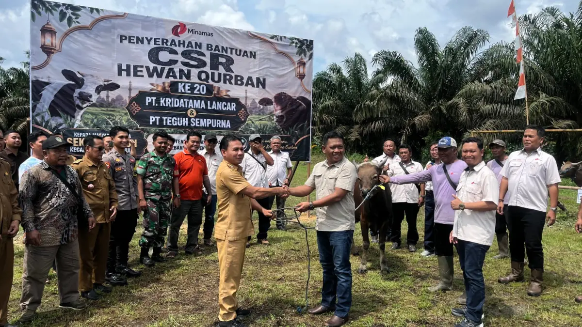 Minamas Plantation Tebar 30 Sapi Kurban di Tiga Kabupaten Kalteng, Wujud Kepedulian Sosial Perusahaan