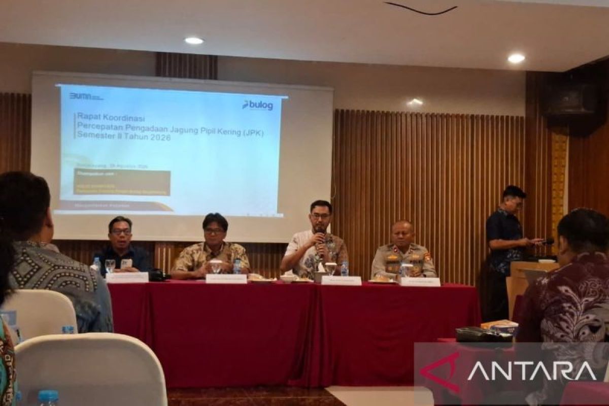 Bulog Kalimantan Barat Kejar Target Serapan Jagung 16.400 Ton, Bengkayang Jadi Andalan Panen Agustus-Oktober