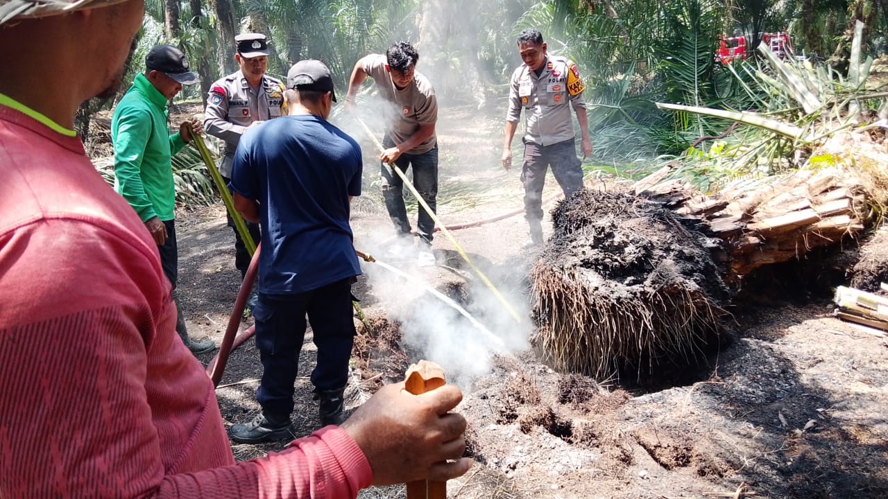 Api di Kebun Sawit Kayu Calla Kembali Menyala Usai Dua Hari, Polisi dan Damkar Padamkan Sebelum Meluas ke Lahan Lain
