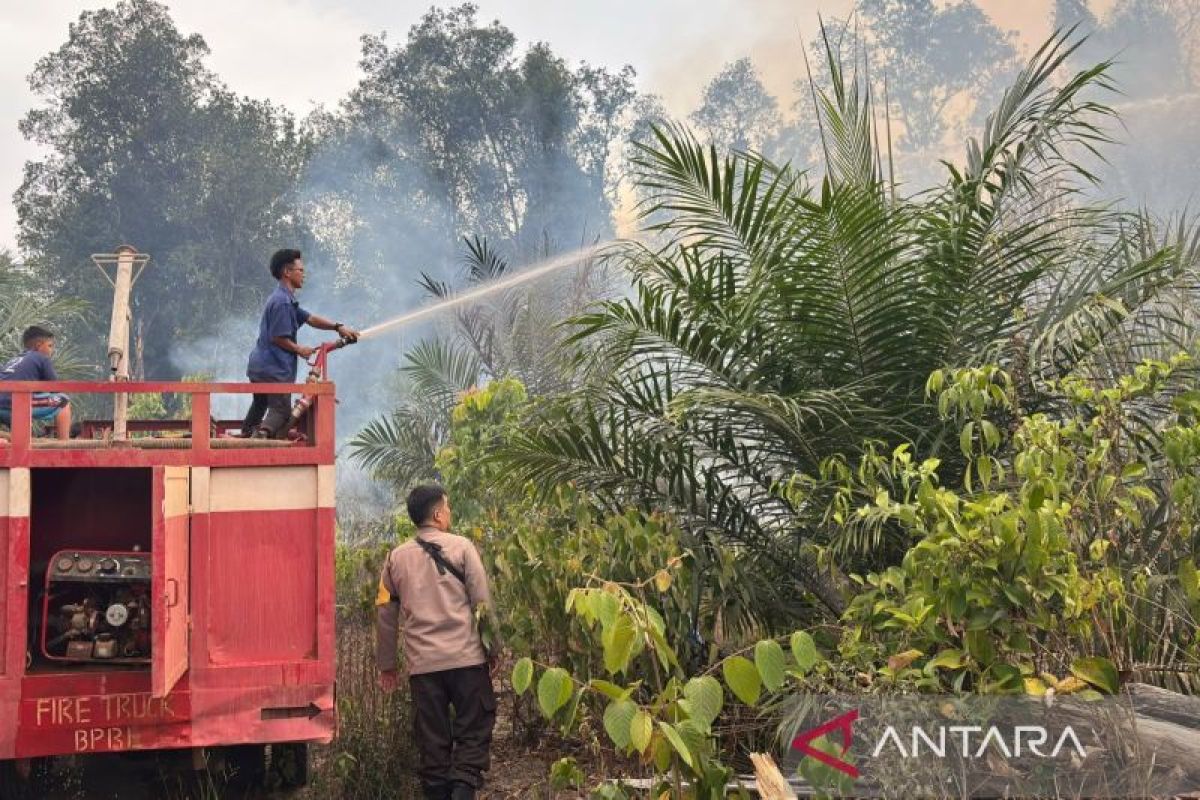 Tim Gabungan di Bangka Barat Padamkan Karhutla Tiga Hektare di Desa Airbulin, Api Muncul dari Dua Titik