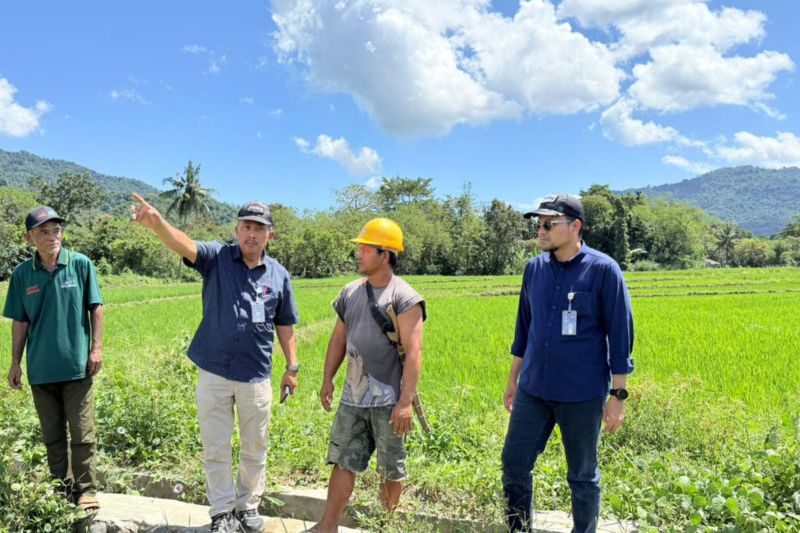 Bulog NTT Serap 3.992 Ton Beras Petani Hingga Awal Juni 2026, Stok Nasional Tembus 5 Juta Ton