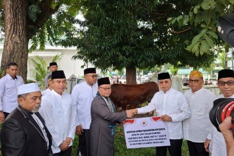 12 Sapi Kurban dari Presiden dan Gubernur Diserahkan ke Masjid Raya Al-Kautsar Kendari, Andi Sumangerukka Soroti Dua Makna Iduladha