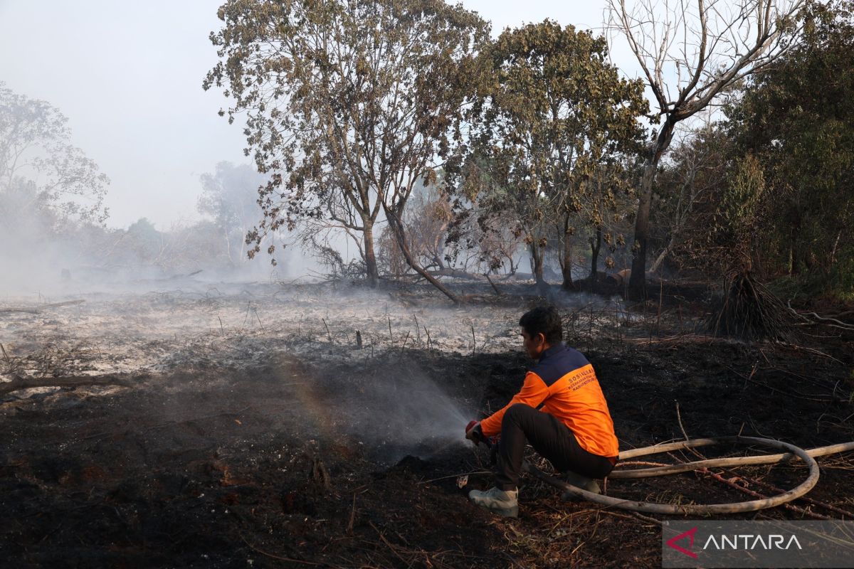 BPBD Kubu Raya Kerahkan Pemadaman Karhutla 12 Hari, 10 Hektare Lahan Terbakar di Belakang Komplek Arwana Indah