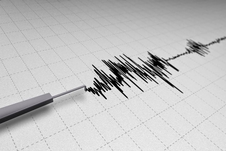 Gempa Magnitudo 3,7 Guncang Daruba Maluku Utara, Pusat di 223 Kilometer di Bawah Laut