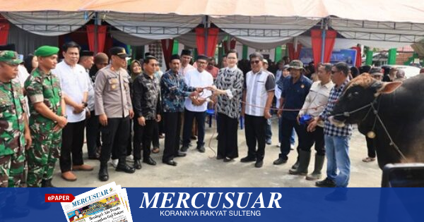 Bupati Poso Serahkan Sapi Kurban “Rahwono” Berat 875 Kg dari Presiden Prabowo, Disusul Pasar Murah Jelang Iduladha