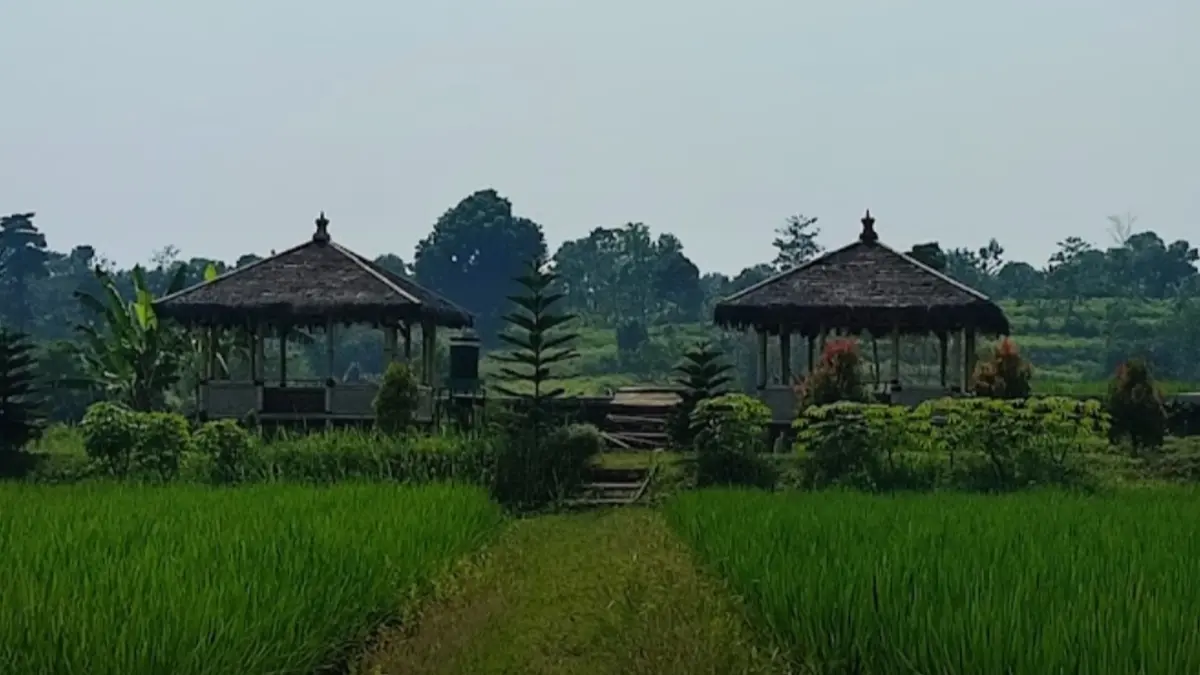 Bogor Punya Spot Sawah Estetik Mirip Ubud Berlatar Gunung Salak, Nikmati Ngopi di Tengah Sawah Cuma Rp10 Ribu