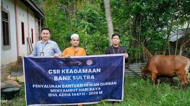 Bank Sultra Distribusikan 23 Ekor Sapi Kurban ke Seluruh Wilayah Sulawesi Tenggara, Bantuan Tersebar di 17 Kabupaten/Kota