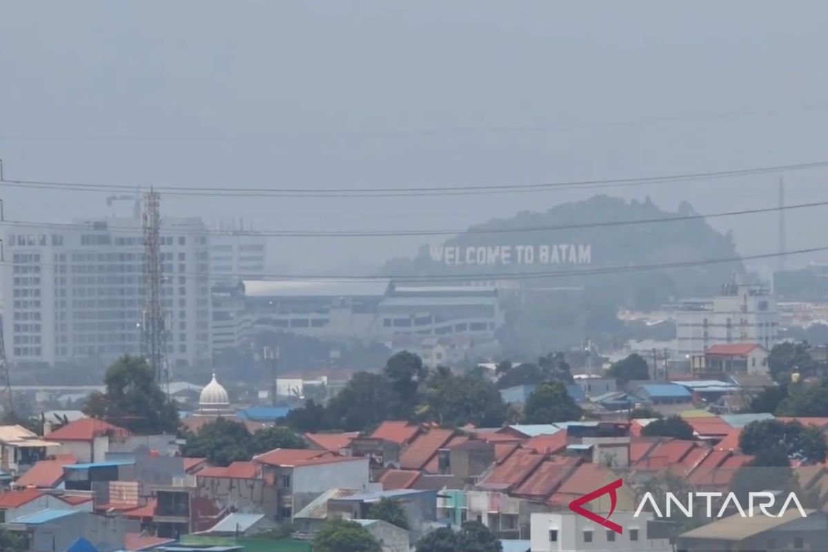 BMKG Peringatkan Kabut Asap Selimuti Kepri Sehari Penuh, Jarak Pandang dan Pernapasan Terancam