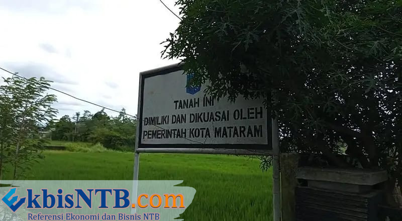 Pemprov NTB Percepat Realisasi 87 Persen Lahan Pertanian Berkelanjutan Sebelum Tenggat