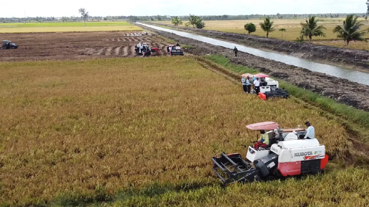 Mentan Amran Tegaskan Fokus Pemerintah di Merauke Bukan Isu 