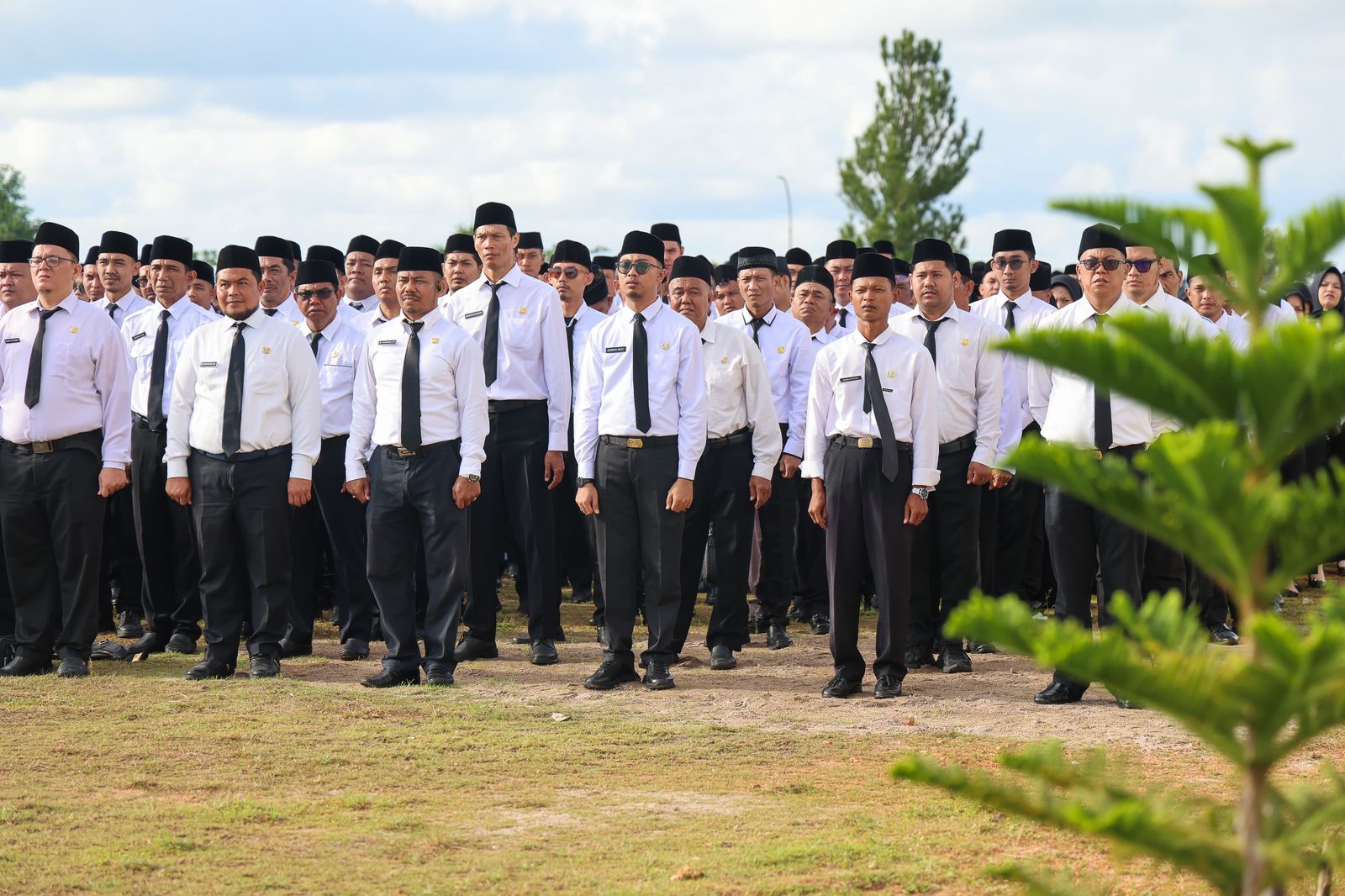 BKD Kepri Terbitkan SK Pemberhentian 13 PPPK, 5 Sudah Efektif karena Mengundurkan Diri dan Langgar Disiplin
