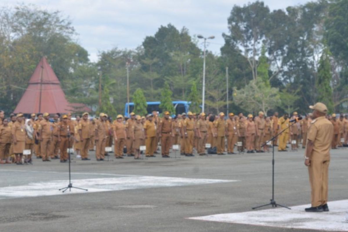 Bupati Jayapura Pastikan 750 Tenaga Honorer Tak Dirumahkan, Cari Jalan untuk Diangkat Jadi ASN