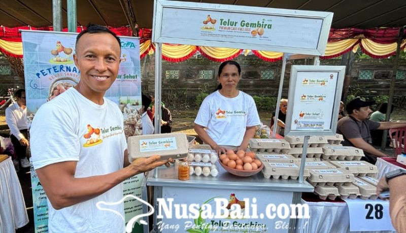 Harga Telur Ayam Ras Turun, Telur Cage-Free di Bali Justru Kebal Fluktuasi, Peternak Andalkan Pasar Khusus