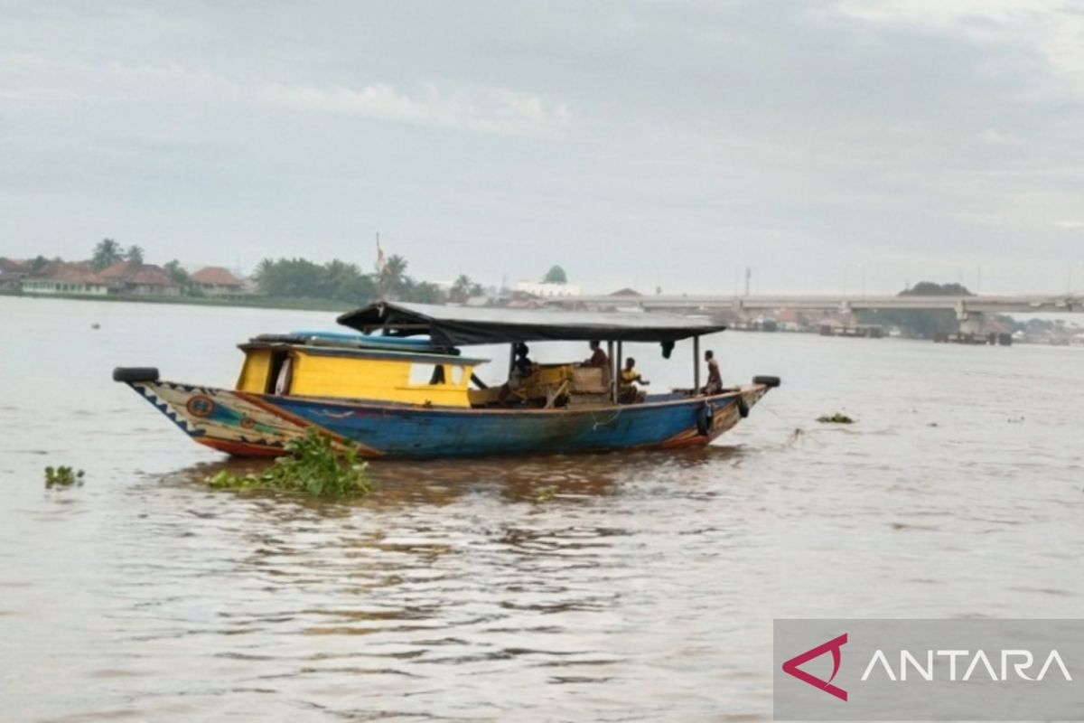 Warga Banyuasin Diminta Waspada Buaya Usai Seorang Nelayan Hilang Diterkam di Perairan Pulau Rimau