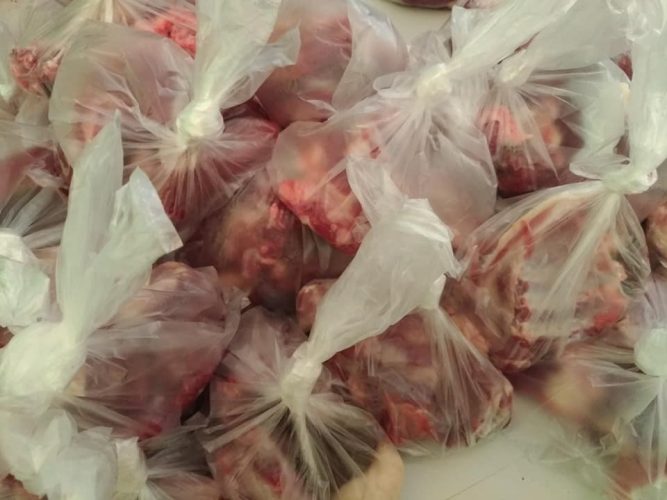 Pemkot Jayapura Larang Kantong Plastik untuk Bungkus Daging Kurban Iduladha 1447 H, 100 Ekor Sapi Disiapkan