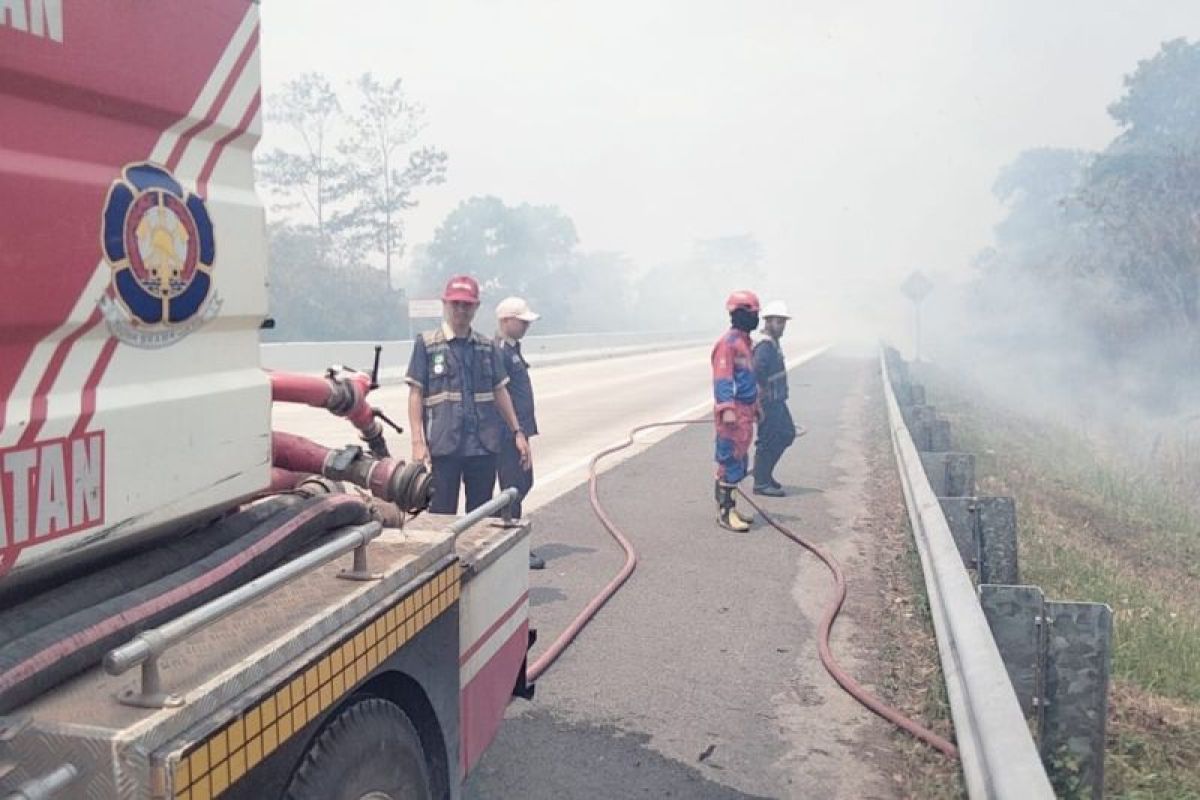 Damkarmat Lampung Selatan Padamkan Kebakaran Lahan di KM 86A Tol Trans Sumatera, Penanganan Rampung 2 Jam