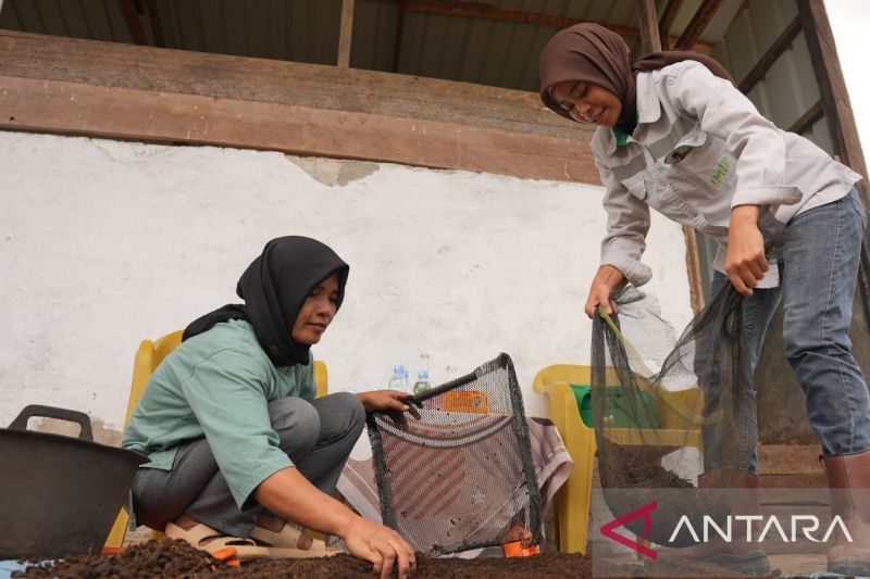 Kelompok Tani Binaan IMIP di Morowali Ubah Sampah Organik Jadi Pupuk Kompos Bernilai Ekonomis