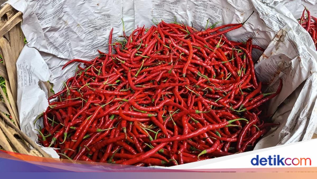 Harga Cabai Merah di Sumut Meroket, Nias Selatan dan Nias Utara Tembus Rp 60 Ribu per Kg