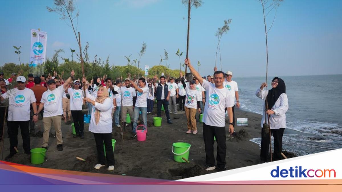 Gubernur Jateng Pimpin Penanaman 92.290 Bibit Mangrove di Pantai Tirang Semarang untuk Cegah Abrasi