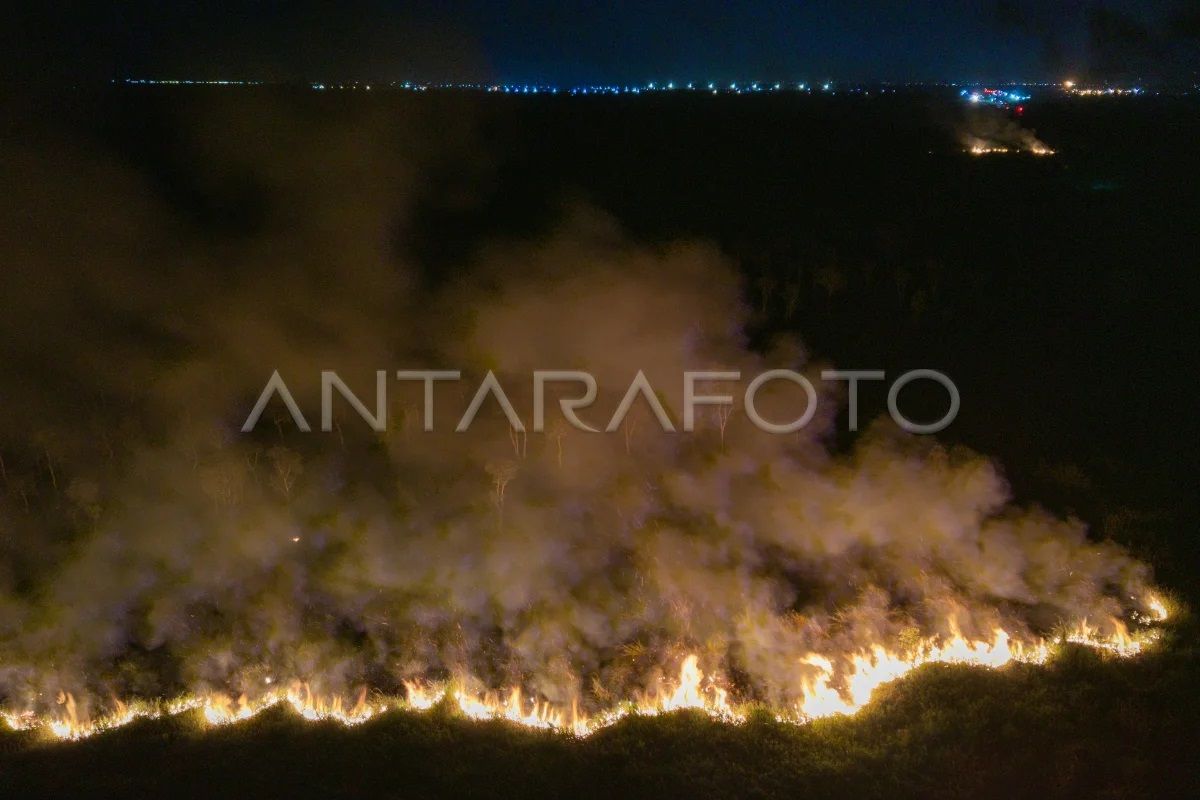 Kebakaran Lahan di Sungai Rambutan Ogan Ilir Belum Padam, Angin Kencang Sulitkan Petugas