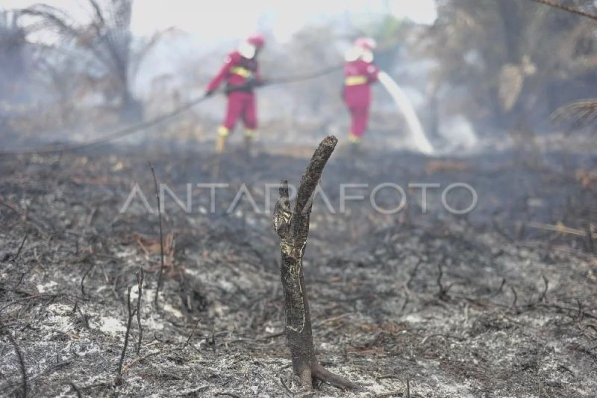 Hari Ketiga, Manggala Agni Jambi Padamkan Karhutla di Lahan Gambut Tanjung Jabung Timur dengan Sumur Bor