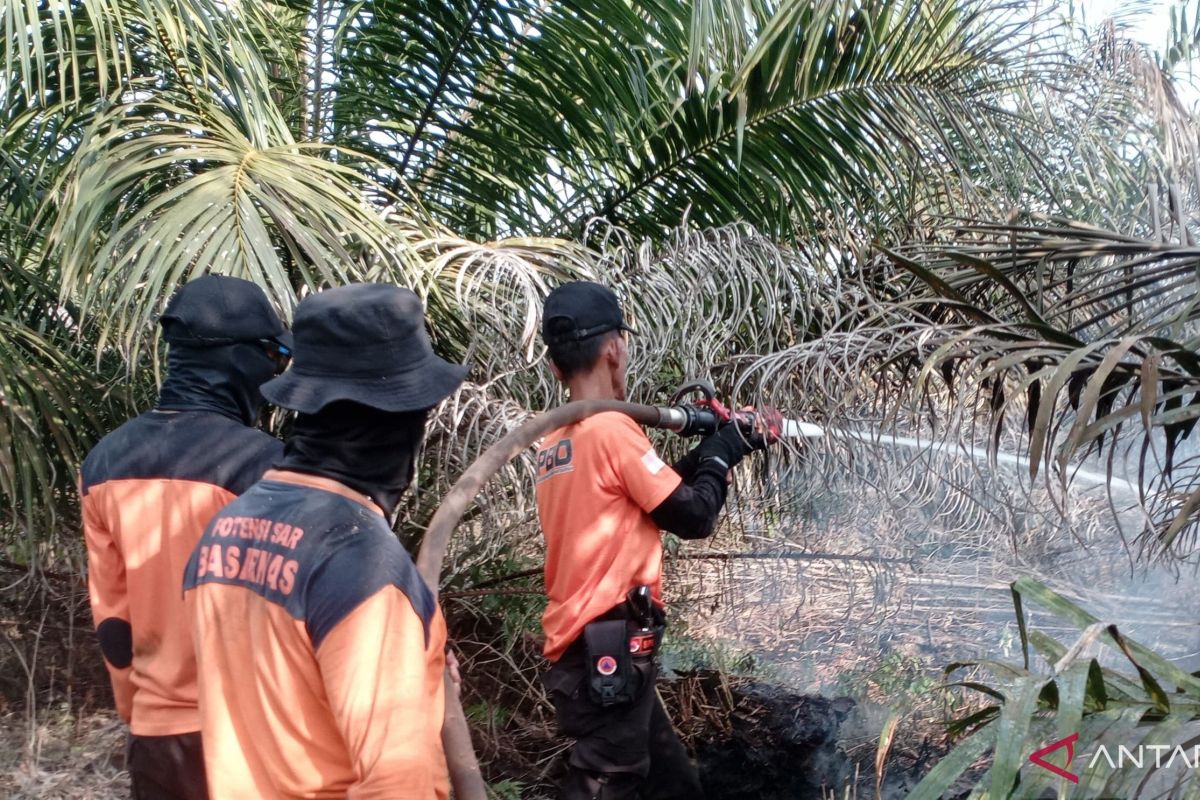 BPBD Muara Enim Kerahkan 5 Helikopter Pengebom Air Padamkan Karhutla di Gelumbang, 2 Hektare Lahan Terbakar