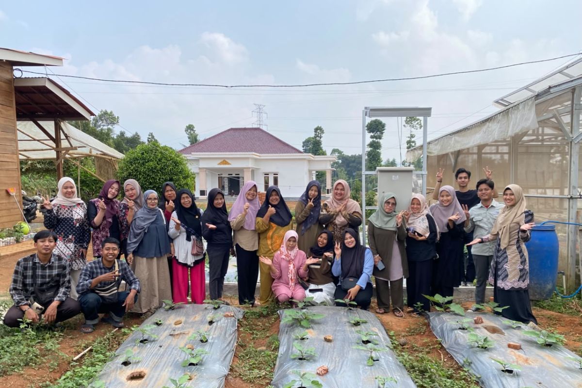 Polinela dan Unila Pasang Irigasi Otomatis Bertenaga Surya untuk Kebun Terong KWT Anyelir di Lampung Selatan