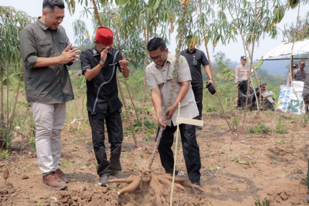 Gubernur Banten Andra Soni Perbaiki 1 Km Jalan dan Jamin Akses Pupuk Petani Singkong Lebak