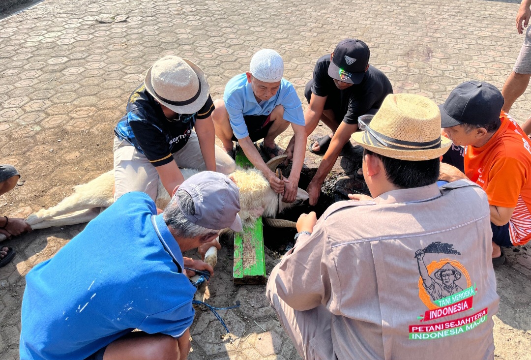 Tani Merdeka Indonesia Salurkan Satu Sapi dan Tiga Kambing untuk Warga Perum Bunar Indah Garut saat Idul Adha