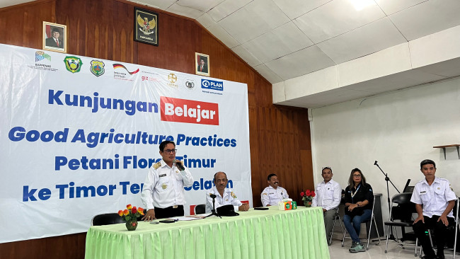 135 Petani Flores Timur Belajar Hortikultura ke TTS, Plan Indonesia Dorong Model Pertanian Dipimpin Kaum Muda