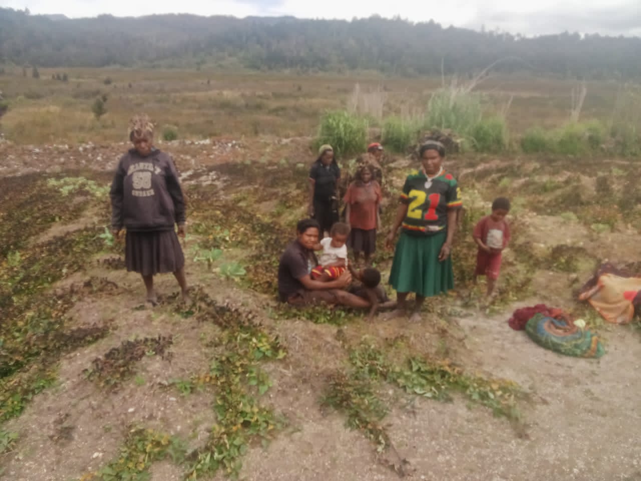 Kekeringan di Tiga Distrik Puncak Berlangsung Sejak 18 Juni, Mahasiswa Desak Pemkab Segera Tetapkan Tanggap Darurat
