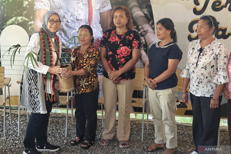 93 Persen Pengelola Hutan di Flores Kini Perempuan, 648 Hektare Hutan Negara Dikelola Kelompok Tani