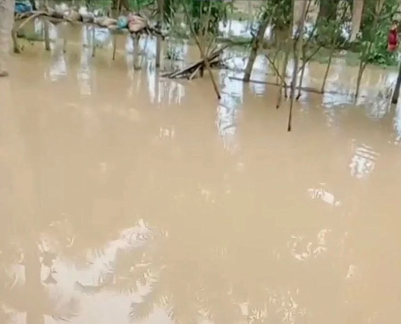 Banjir Rendam Permukiman di Aceh Utara, Ketinggian Air Capai Selutut Orang Dewasa