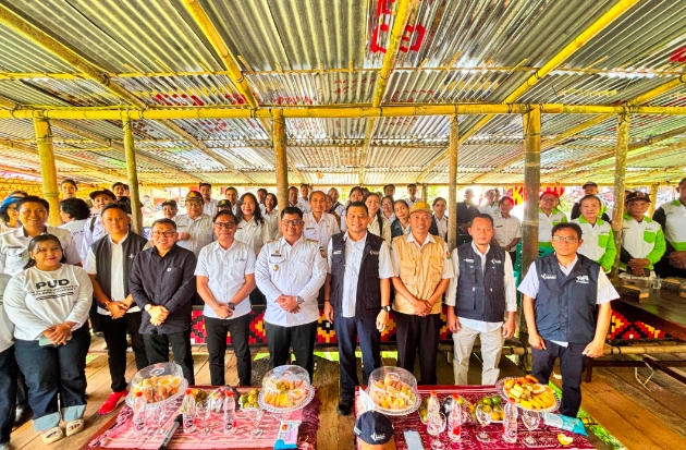 Produktivitas Padi di Toraja Utara Naik 63% Berkat Pemupukan Berimbang, Petani Buktikan Sendiri Hasilnya