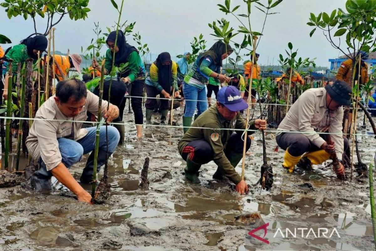 DLH Natuna Ajak Warga Jadikan Hari Konservasi Alam Nasional Momentum Jaga Kekayaan Alam dan Satwa Endemik Kekah