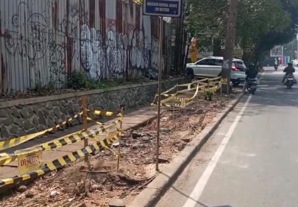 35 Pohon di Bandung Ditebang Liar, Wali Kota Farhan Segel Lokasi Proyek di Dago dan Tempuh Jalur Hukum