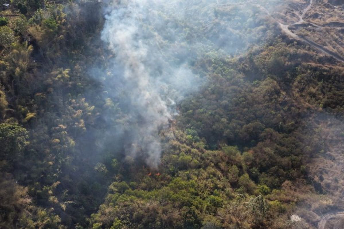 BBKSDA Siagakan Personel Antisipasi Kebakaran Hutan di Garut, 4 Cagar Alam Jadi Prioritas Patroli