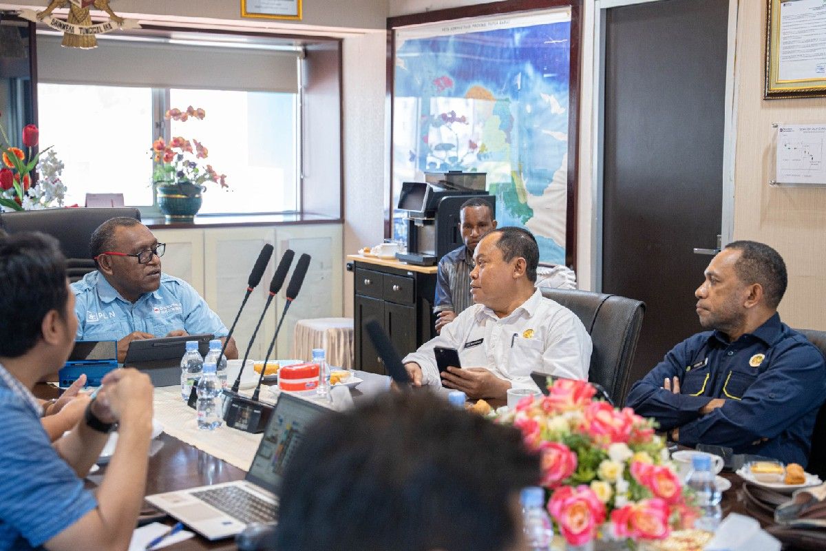 PLN dan DEN Bahas Implementasi PLTS 100 GW untuk Perkuat Listrik di Tanah Papua