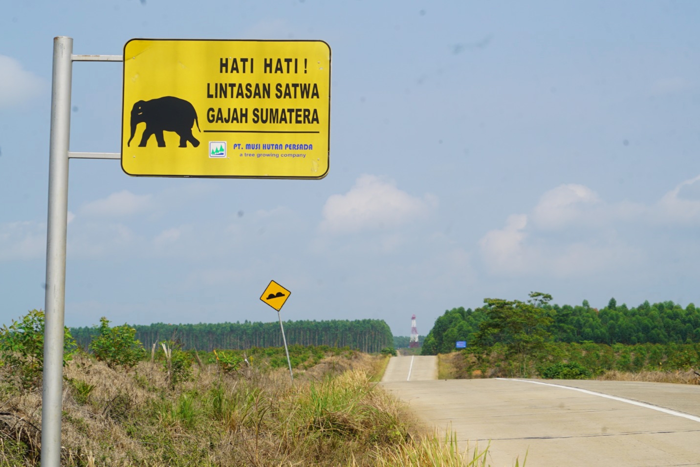 Pertamina EP Zona 4 Tanam 3.650 Pohon Pakan Gajah di Musi Rawas, Pulihkan Koridor Satwa Liar