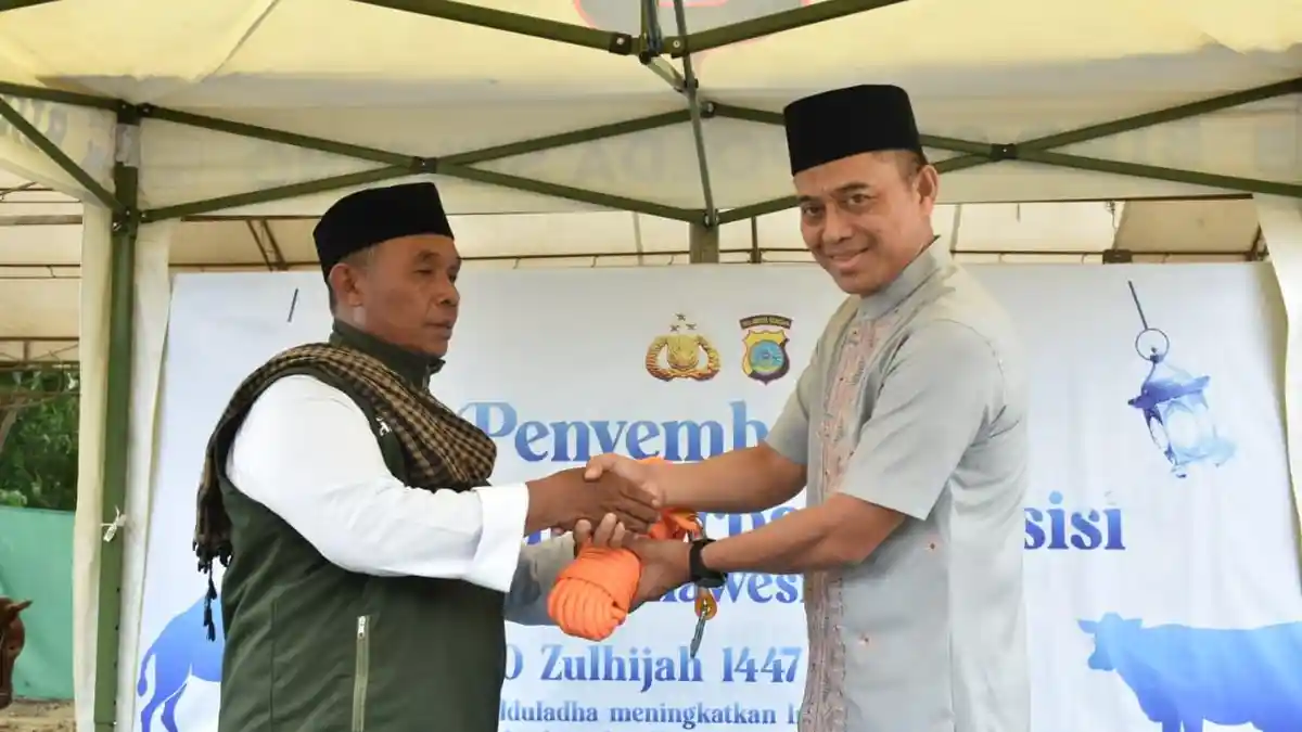 Polda Sulawesi Tengah Sembelih 159 Ekor Hewan Kurban saat Idul Adha 1447 H, 55 Sapi dari Mako Polda
