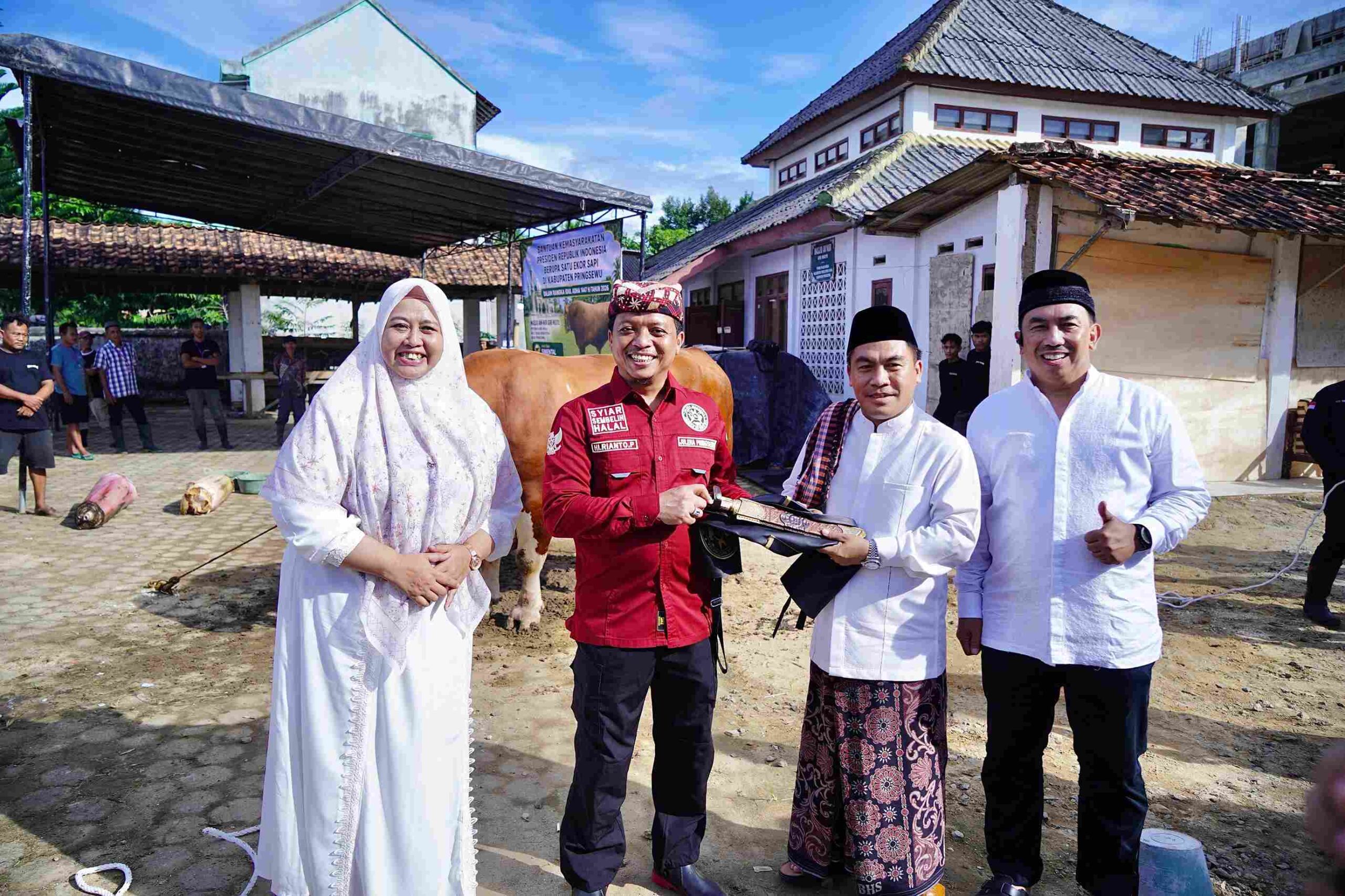Bupati Pringsewu Jadi Khatib Salat Idul Adha 1447 H, Sapi Limousin 1,1 Ton Diserahkan ke Warga