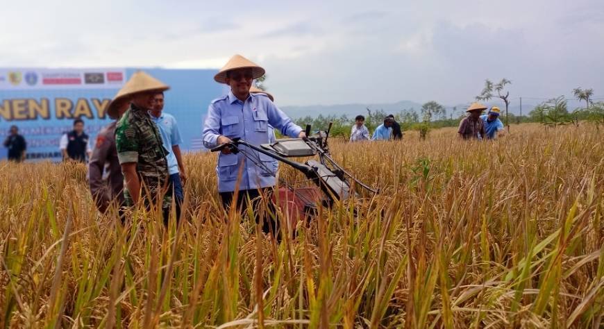 Hanya Wonogiri di Soloraya yang Penuhi Target Perlindungan Sawah 87 Persen, 13 Daerah Jateng Lolos
