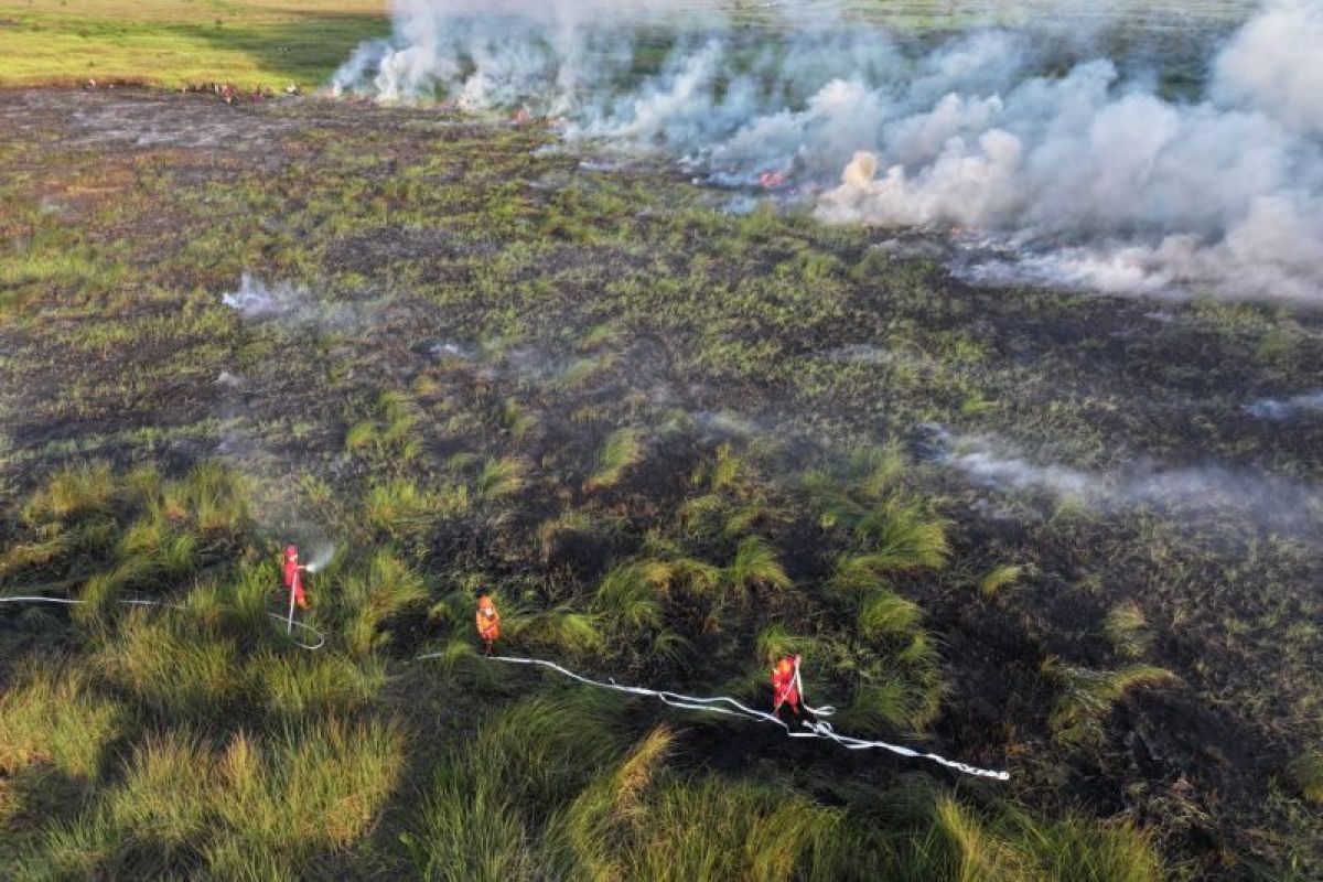 14 Hektare Lahan di OKI, Muara Enim dan Banyuasin Masih Terbakar, Manggala Agni Fokus Padamkan Titik Api di Gambut