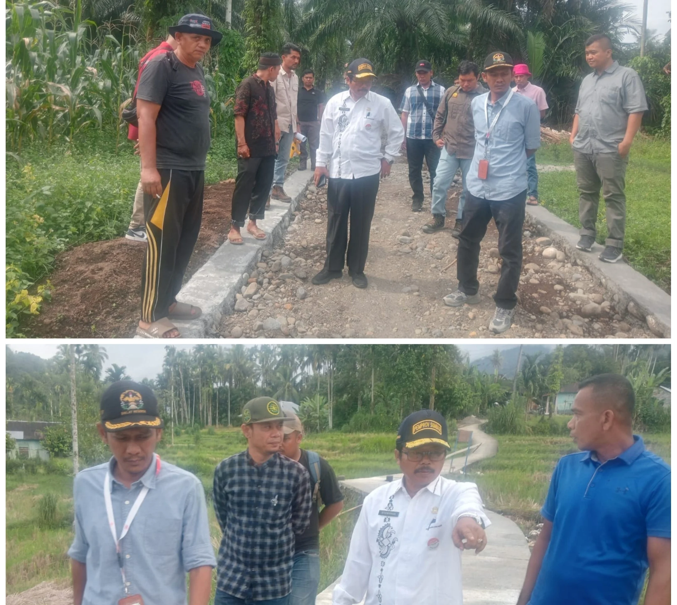 Monitoring Jalan Usaha Tani di Pasaman Barat, Kadisbuntanhor Sumbar Minta Kontraktor Maksimalkan Kualitas Pekerjaan