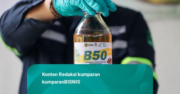 Petani Sawit Maluku Khawatir Program B50 Terburu-buru, Harga TBS Makin Tertekan