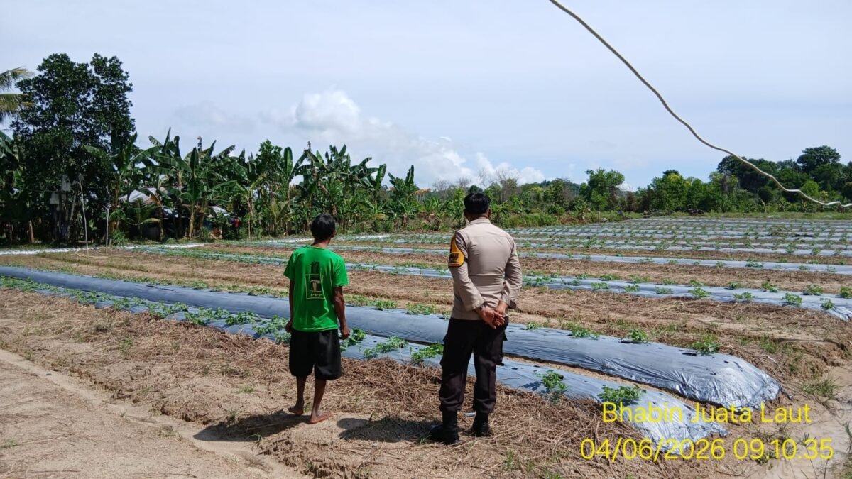 Bhabinkamtibmas Polres Tarakan Turun ke Petani dan Nelayan, Dorong Ketahanan Pangan dari Tingkat Kelurahan