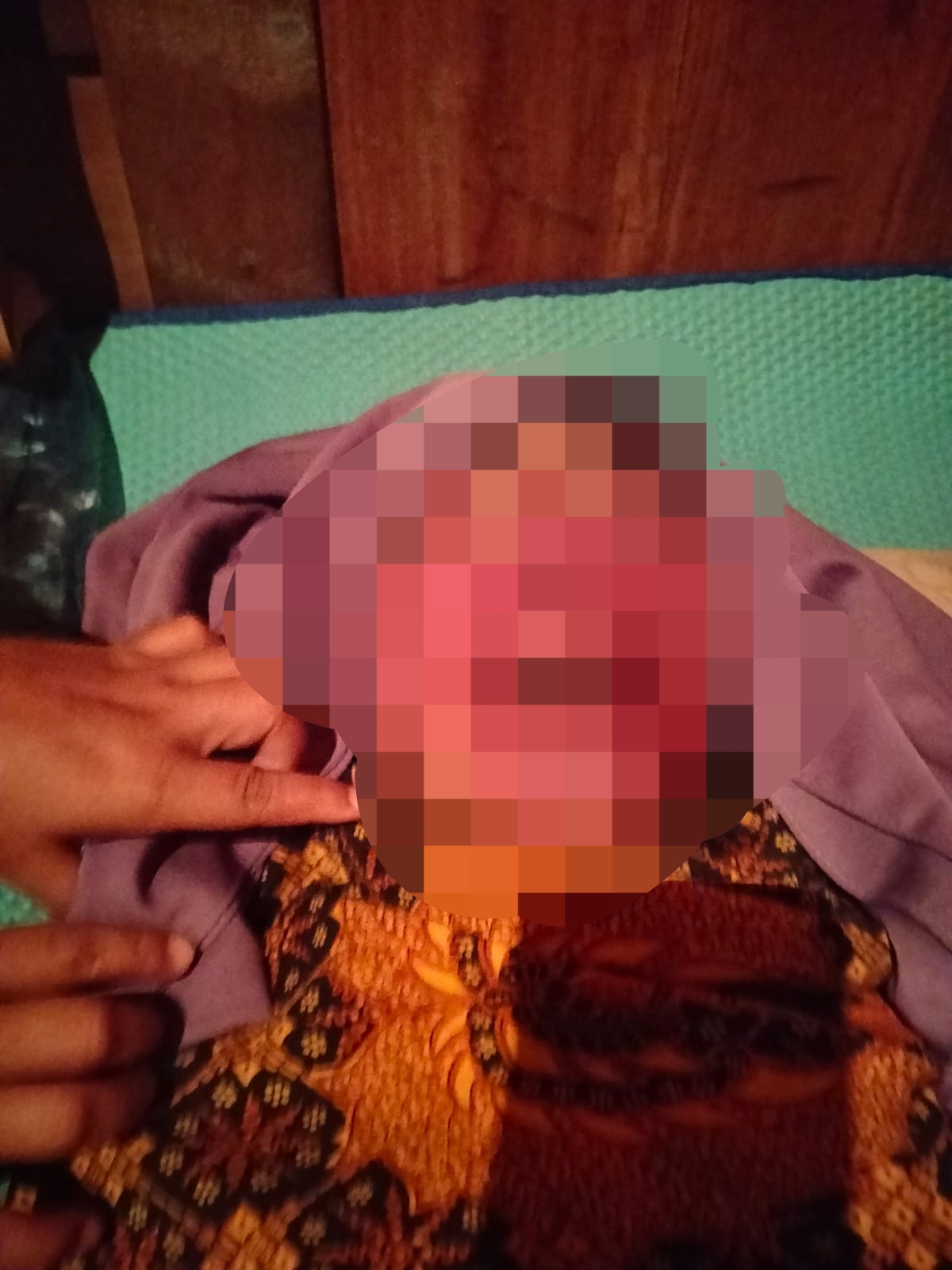 Petani Wanita Tewas Dililit Piton di Buton Selatan, Ini Kronologi Penemuan Jasadnya