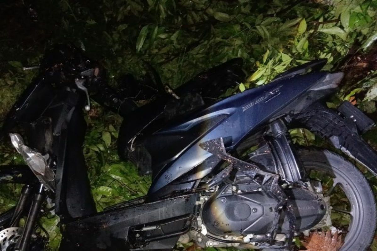 Pemuda Simalungun Tewas Tertimpa Pohon Tumbang di Jalan Lintas Sumatera KM 12,5