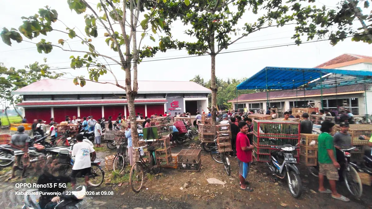 52 Koperasi Desa Merah Putih di Purworejo Diresmikan, Satu Lokasi Dipadukan dengan Pasar Hewan untuk Pusat Ekonomi Warga