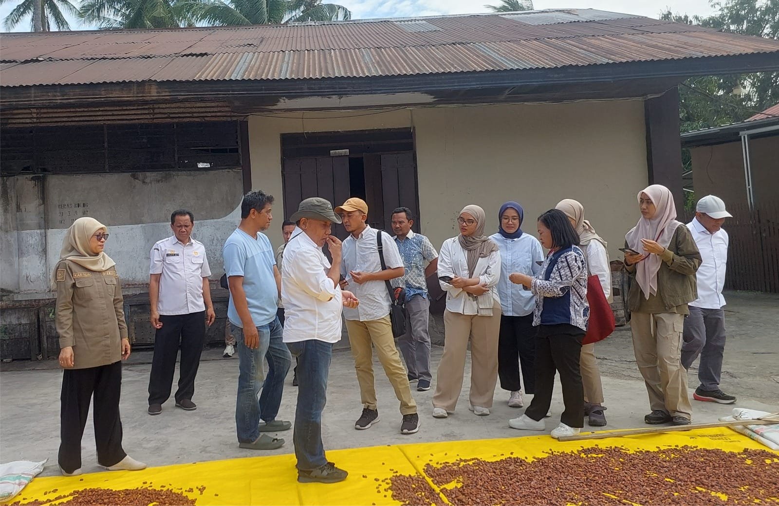 Tim Bappenas Tinjau Sentra Kakao di Polewali Mandar, Susun Rekomendasi Pengembangan Komoditas Unggulan Sulbar